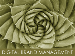 DIGITAL BRAND MANAGEMENT