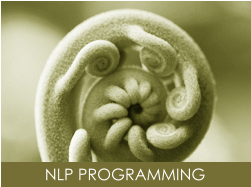 NLP PROGRAMMING